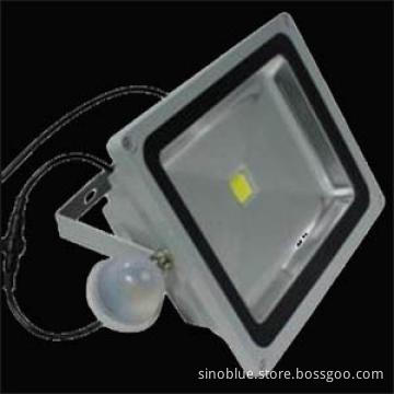 CE&RoHS High Quality  100W Floodlight led